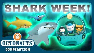 @Octonauts -  SHARK WEEK MARATHON!  | 3 Hours+ Full Episodes | Explore the Ocean