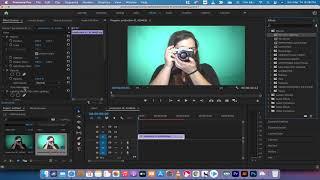 How to Create Reusable Effect Presets in Adobe Premiere Pro CC 2021