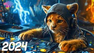 EDM Music Mix 2024  EDM Remixes of Popular Songs  Bass Boosted Music Mix