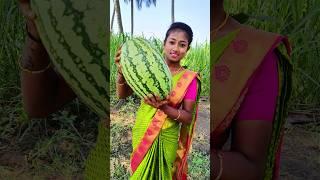 Watermelon Lemon Juice Fruit Juice Making #shorts