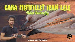 Cara Memfillet Butterfly Daging Ikan Lele