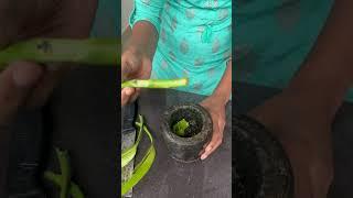 Grow lucky bamboo cuttings faster in water 