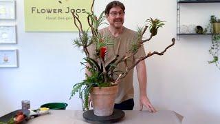 How To Make A Bromeliad Tree Plant Design For A Jungle Vibe