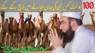 100 ount kis nabi ki jaan bachana hai | Emotional Bayan Maulana Tariq Jameel We love Muhammad SAW