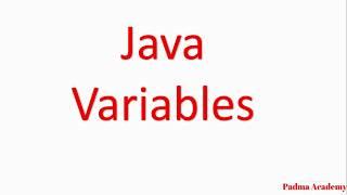 Types of Variables in java, Difference between Instance, Static and Local Variables