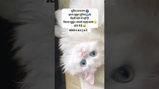 Suniye #funny #hindisong #youtubeshorts #love #cat #trrndingshorts #shortsviral #sad #song #shayari