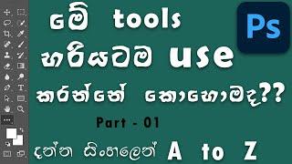 How to use Adobe Photoshop tools Sinhala tutorial | Part 01 | Episode 13