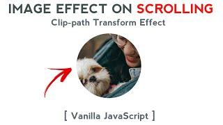 Clip-path Transform Effect on Scrolling | HTML, CSS & Vanilla JavaScript