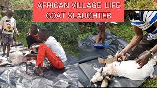 African Village life //goat slaughter// Luo Village #kenya