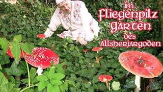 Im Fliegenpilz-Garten des Allsherjargoden (Allsherjargode 144)