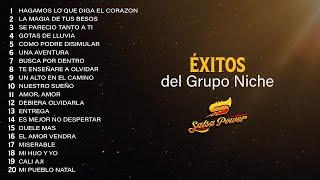 Éxitos Del Grupo Niche - Salsa Power