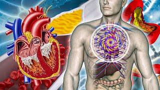 Regenerate Whole Body, Heal Heart And Blood Vessel With Theta Waves - Improve Emotional And Physical