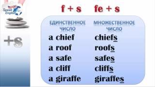 Множественное число существительных  Правила и исключения