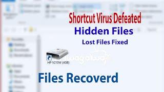 Remove Shortcut Virus | Unhide Files Hidden by Virus | Files Hidden on Harddisk | Recover files