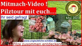 Pilzfrau allein im Wald - Pilzquiz - Mitmach video - kennt Ihr bestimmt! Pilze im Hauswald?