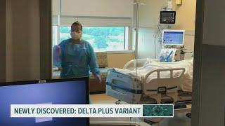 'Delta Plus' variant considered more contagious than 'Delta' variant of COVID-19