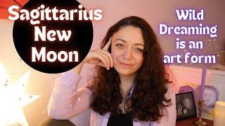 SAGITTARIUS NEW MOON | Life is absurd and beautiful. WILD DREAMING! | November 30, 2024