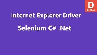 Selenium C# Internet Explorer Driver