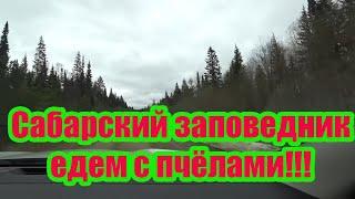 1 Часть. ПРИШЛИ ПАКЕТЫ ПЧЁЛ, ЕДЕМ ПЕРЕСАЖИВАТЬ, САБАРСКИЙ ЗАПОВЕДНИК, РЕКА УФА, ЗАПЛУТАЛ.