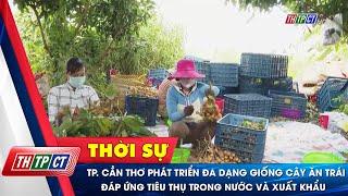 TP. Cần Thơ phát triển đa dạng giống cây ăn trái đáp ứng tiêu thụ trong nước và xuất khẩu