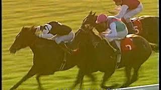 1994 Dewhurst Stakes Pennekamp Includes Replay