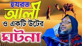 Maulana Mashiur Rahman Saheb Khoka Maulana New Bengali Kolkata/হযরত আলী রাঃ ঘটনা/খোকা মাওলানার ওয়াজ