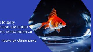 Почему твои желания не исполняются? И как это исправить?