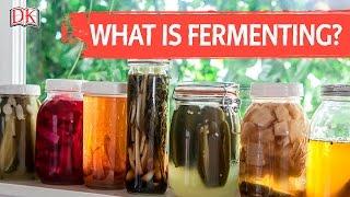 What is Fermenting?