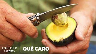 Por qué los aguacates son tan caros | Qué caro | Insider Español