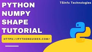 How to find the shape of a NumPy array in Python | Python NumPy shape