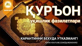 Қуръон уқиш фазилатлари | 1-қисм - Қуръондан узоқлашган қалбларга этиб бориши учун лайк босин!