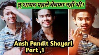 Ansh pandit New Sad Shayari part 1 Tik Tok || TikTok Video pbh