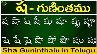 ష గుణింతం | Sha gunintham | How to write Telugu Sha guninthalu | Telugu varnamala Guninthamulu