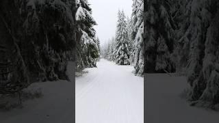 Jeseníky mountains in Czechia in winter 