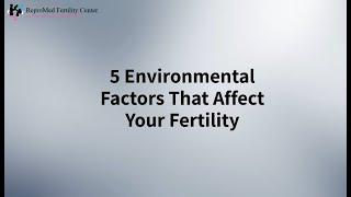 5 Environmental Factors that Affect Your Fertility