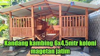 Kandang kambing kapasitas 30ekor cocok untuk mulai ternak +62 882-3919-9456