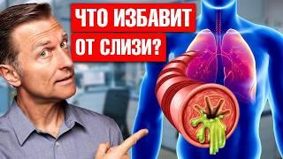 Бронхит? Синусит? Лучшее средство от мокроты и слизи