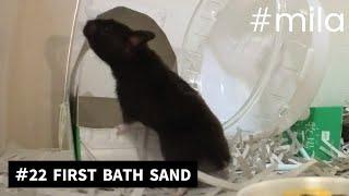 mila #22 FIRST BATH SAND 初めてのお風呂砂