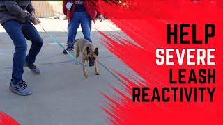Learn my leash reactivity correction