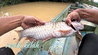 Rezeki kelah sungai kenong.....