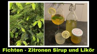 Maiwipfel Sirup (Fichtenspitzensirup) und Likör für Limonade und Cocktails selber machen