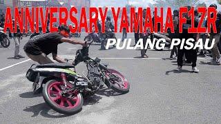 Anniversary F1ZR Pulpis