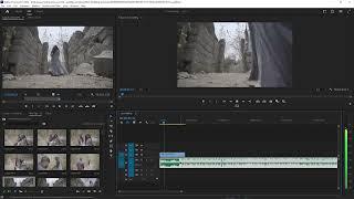 Pre wedding Video editing in premiere pro Telugu