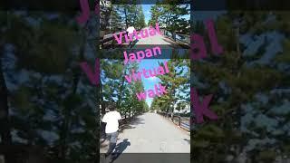 Virtual walk JAPAN #virtualjapan #discoverjaoan #4kwalk