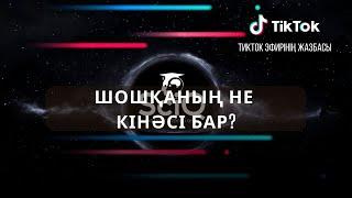 Шошқаның не кінәсі бар?