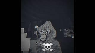 elliot??????, also yes i made the edit myself. @elliotVR #gorillatag #elliotvr #vr #edits #skull