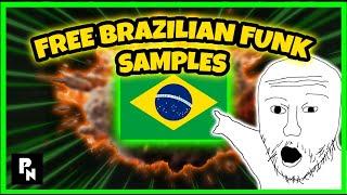 [FREE] BRAZILIAN FUNK SAMPLES! | 001