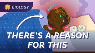 How Skin, Snot, and Cells Keep Us Healthy: Animal Defense Systems: Crash Course Biology #45