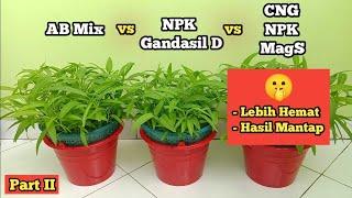 Cara Membuat Nutrisi Hidroponik AB Mix Sendiri | Bukan NPK, KCL, Gandasil D (Part II)