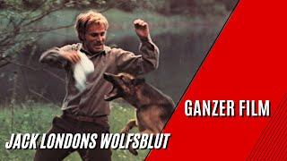 Jack Londons Wolfsblut | Western | Ganzer Film mit deutschen Untertiteln